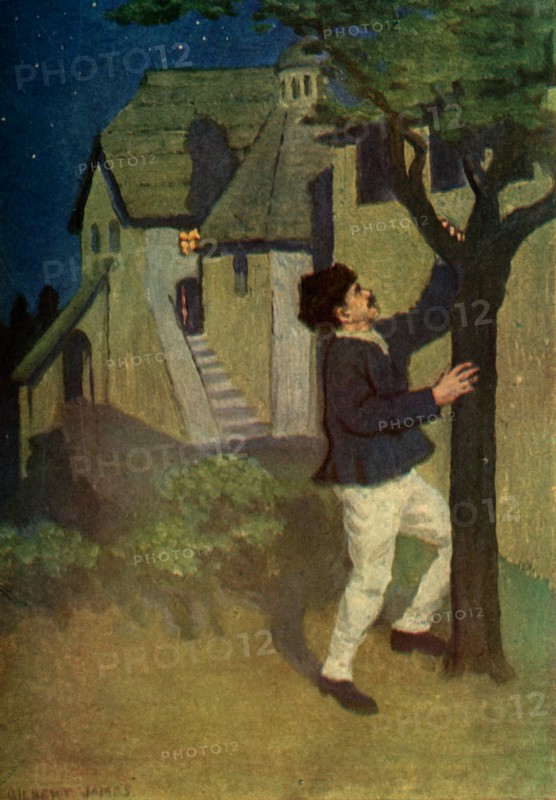 'The young man shakes a tree three times', 1917. Creator: Unknown.