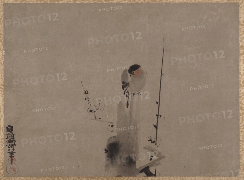 Bird on a Plum Tree. Creator: Kano Naonobu.