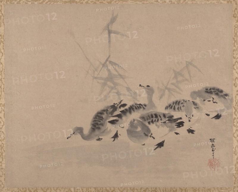 Ducks and Reeds, ca. 1650. Creator: Kanô Tan'yû.