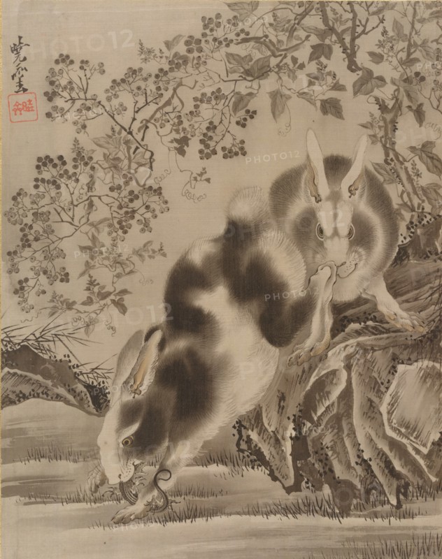 Rabbits, ca. 1887. Creator: Kawanabe Kyosai.