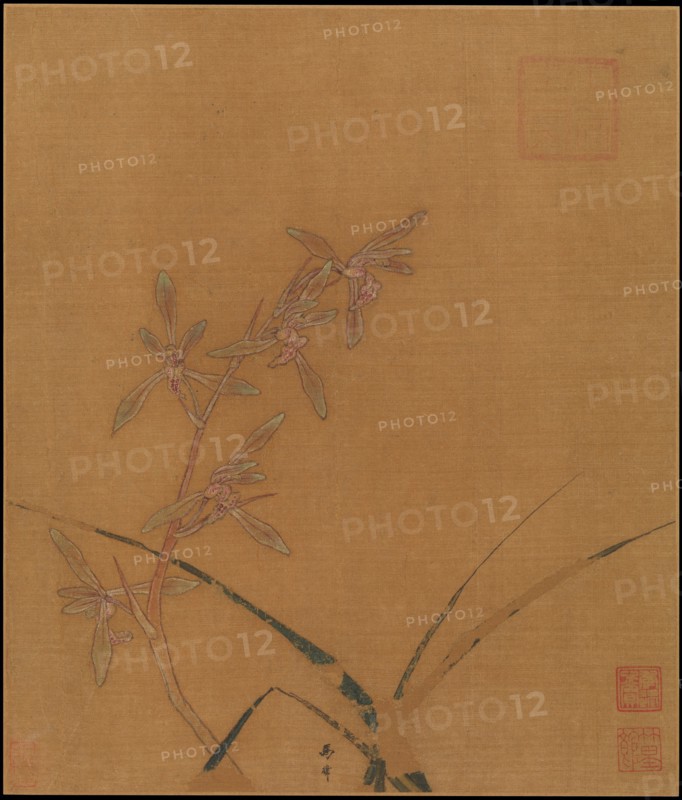 Orchids, second quarter of the 13th century. Creator: Ma Lin.