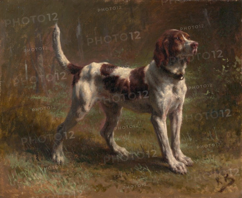 A Limier Briquet Hound, ca. 1856. Creator: Rosa Bonheur.