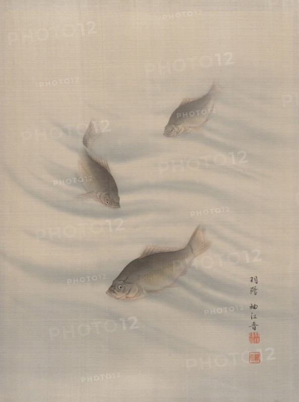 Fishes Swimming, ca. 1890-92. Creator: Seki Shuko.