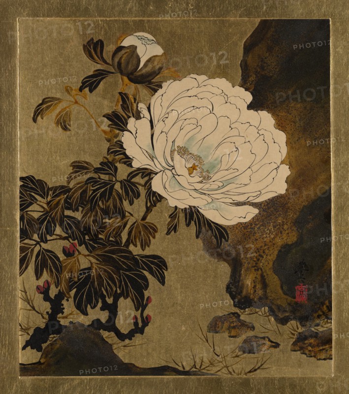 Lacquer Paintings of Various Subjects: Peonies, 1882. Creator: Shibata Zeshin.