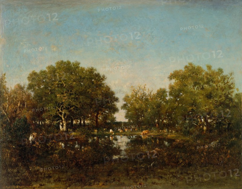 The Pool (Memory of the Forest of Chambord), 1839. Creator: Theodore Rousseau.