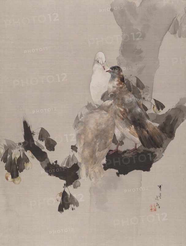 Pigeons in a Tree, ca. 1887. Creator: Watanabe Seitei.