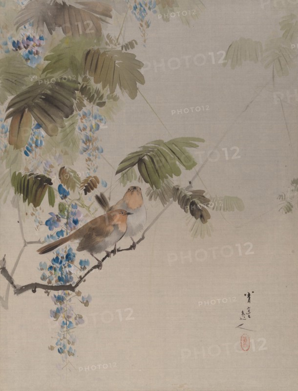 Birds and Flowers, ca. 1887. Creator: Watanabe Seitei.
