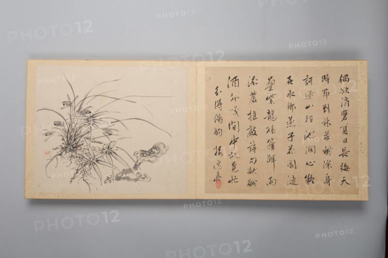 Refined Elegance in the Four Seasons (Shiji seiga), Album of Flower Paintings, 1844. Creator: Yamamoto Baiitsu.