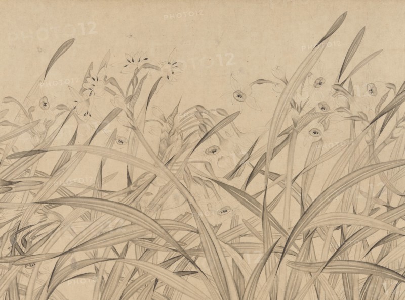 Narcissus, mid-13th century. Creator: Zhao Mengjian.
