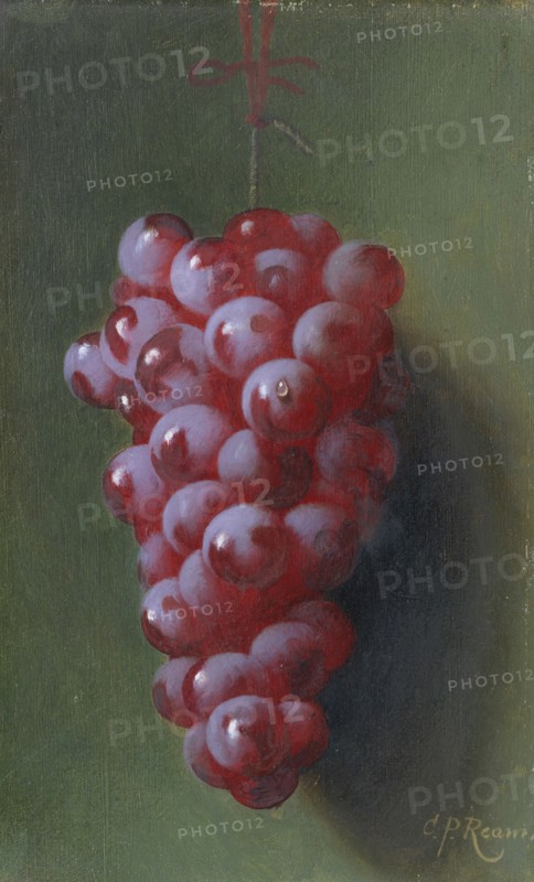 Still Life with Grapes. Creator: Carducius Plantagenet Ream.