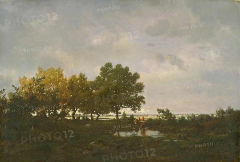 The Pond (La Mare), 1855. Creator: Theodore Rousseau.