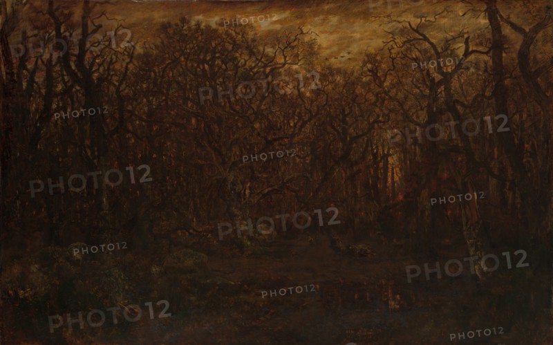 The Forest in Winter at Sunset, ca. 1846-67. Creator: Theodore Rousseau.