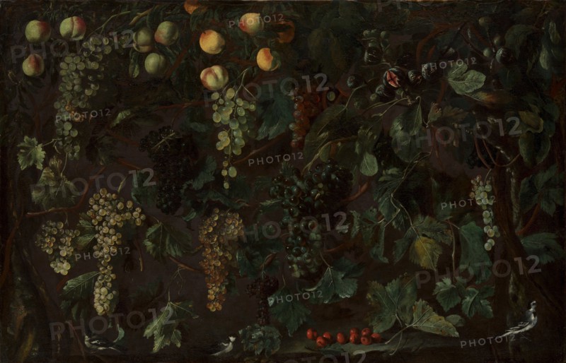 Grape Vines and Fruit, with Three Wagtails, ca. 1615-18. Creator: Bartolomeo Cavarozzi.