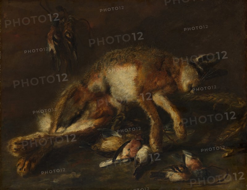 A Hare and Birds. Creator: Jan Fyt.