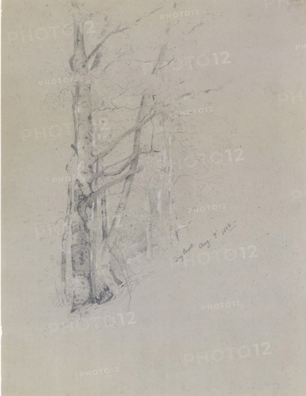 Dry Brook, 1888. Creator: Jervis McEntee.