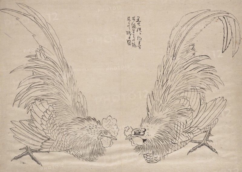 Album of Sketches by Katsushika Hokusai and His Disciples, 19th century. Creator: Hokusai.