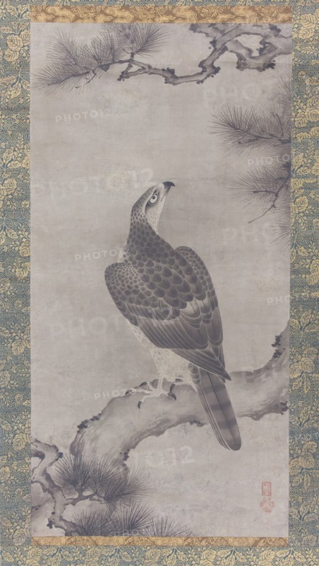 Hawk on a Pine (Shoo zu), 16th century. Creator: Kano Yukinobu.