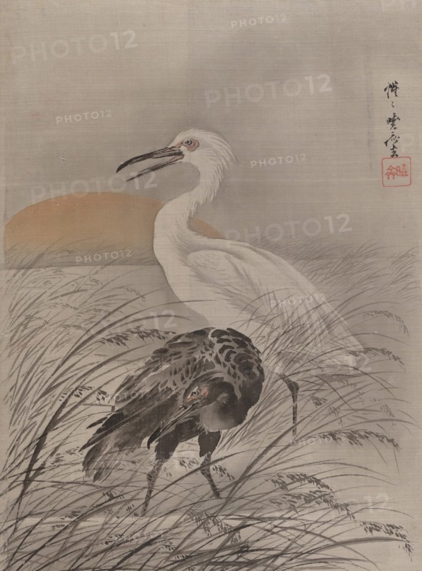 Cranes in Marsh, ca. 1887. Creator: Kawanabe Kyosai.