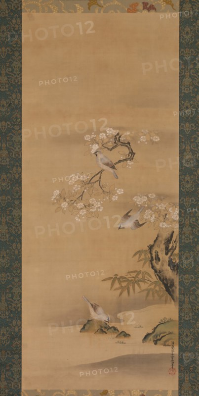 Waxwings, Cherry Blossoms, and Bamboo, late 17th century. Creator: Kiyohara Yukinobu.