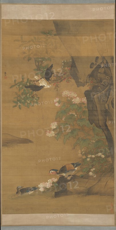 Mandarin ducks and cotton rose hibiscus. Creator: Lu Ji.
