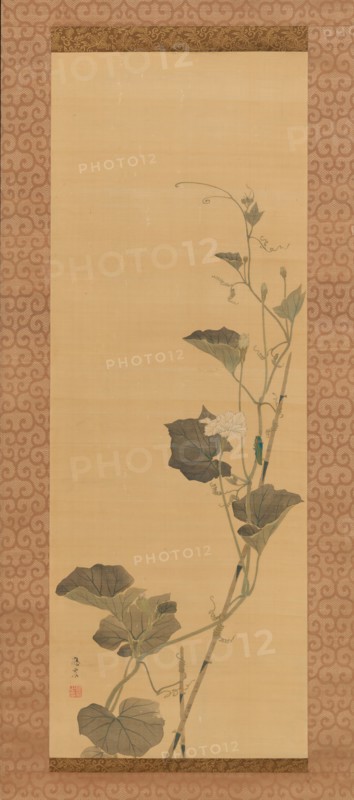 Calabash Flowers and Beetle, early 19th century. Creator: Maruyama Ôshin.