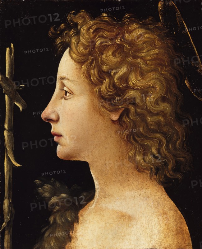 The Young Saint John the Baptist, ca. 1480-82. Creator: Piero di Cosimo.