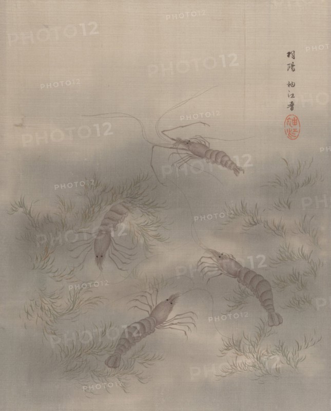 Shrimp (Ebi), ca. 1890-92. Creator: Seki Shuko.