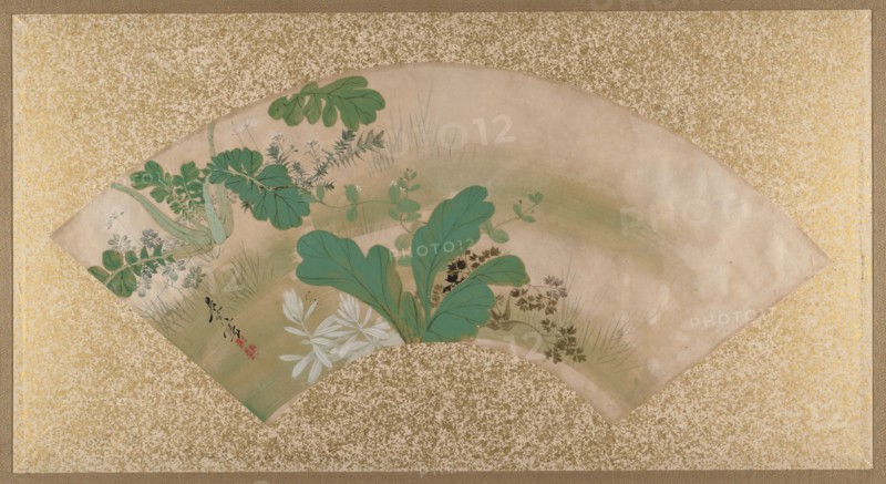 Various Plants and Grass, late 19th century. Creator: Shibata Zeshin.