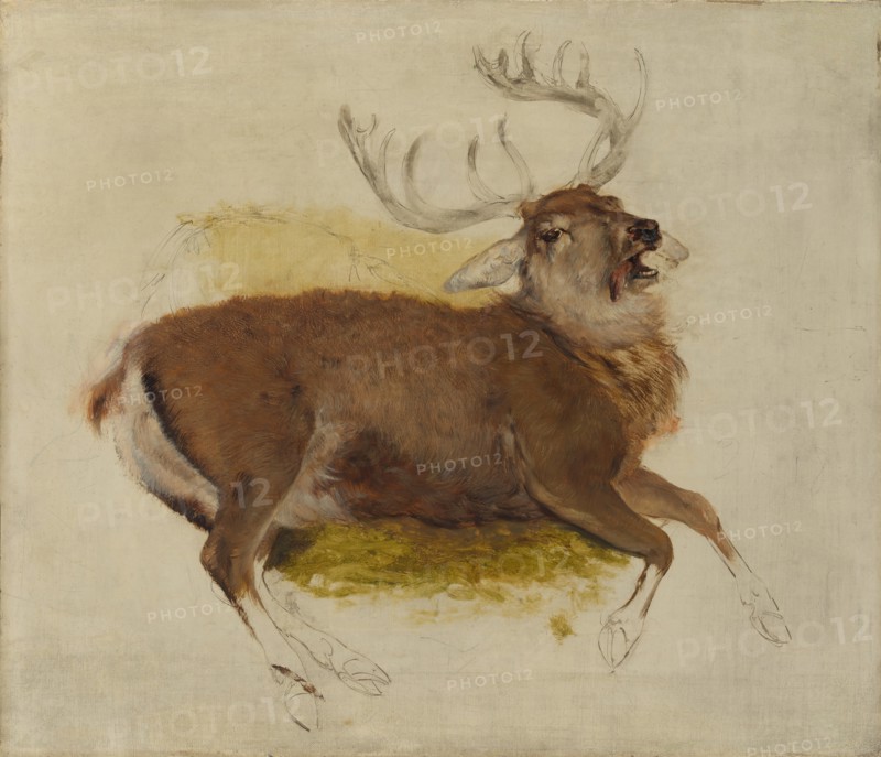 Dying Stag, ca. 1830. Creator: Edwin Henry Landseer.