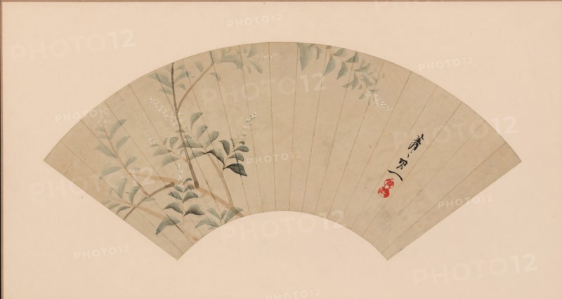 Bush Clover. Creator: Suzuki Kiitsu.