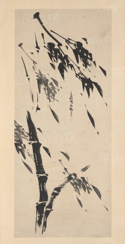 Bamboo in the Wind. Creator: Taiho Shoko.