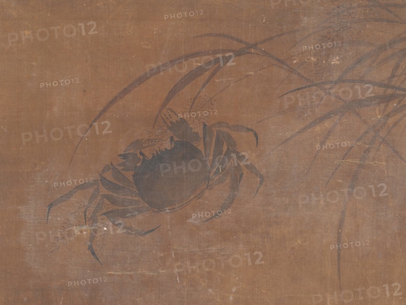 Crabs and Reeds. Creator: Unknown.