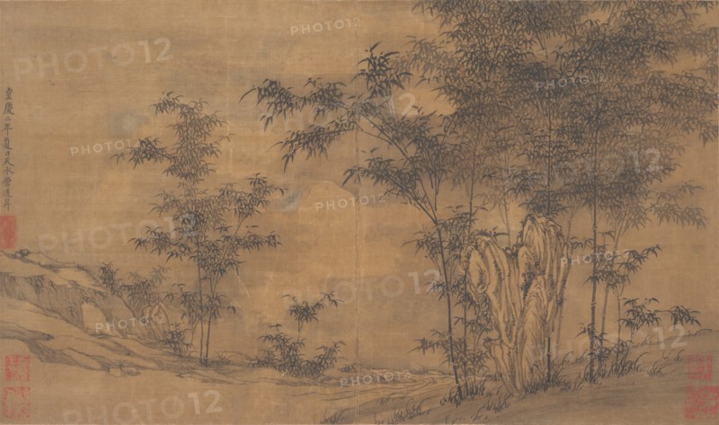 Bamboo. Creator: Unknown.