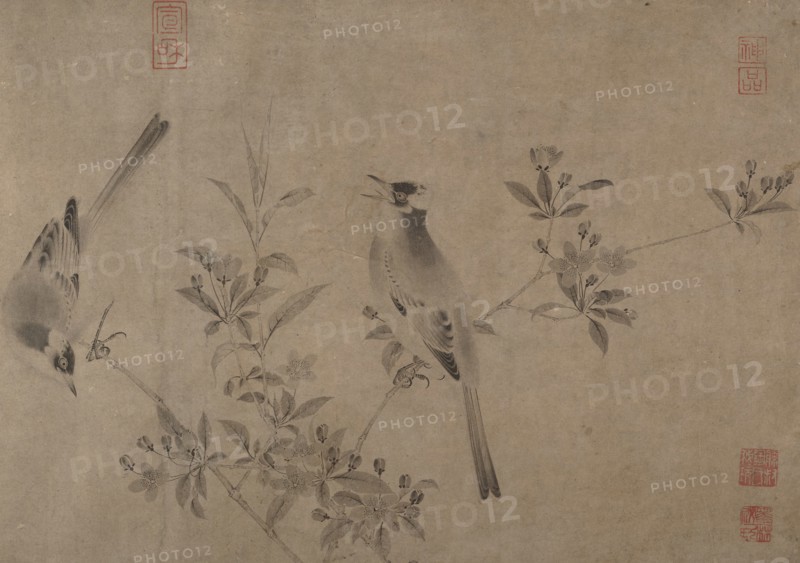Chinese Bulbuls on Flowering Cherry-Apple. Creator: Unknown.