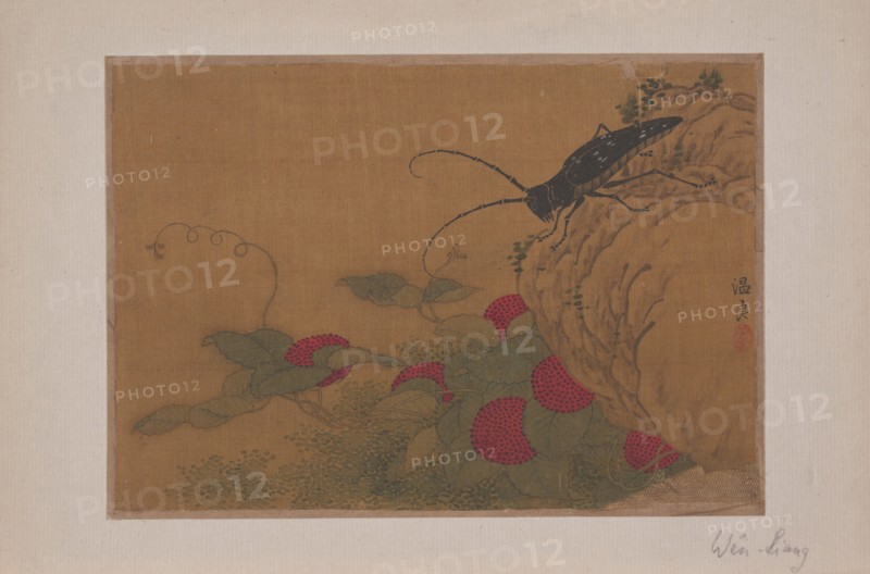 Grasshopper on Rock, 15th century. Creator: Wen Liang.