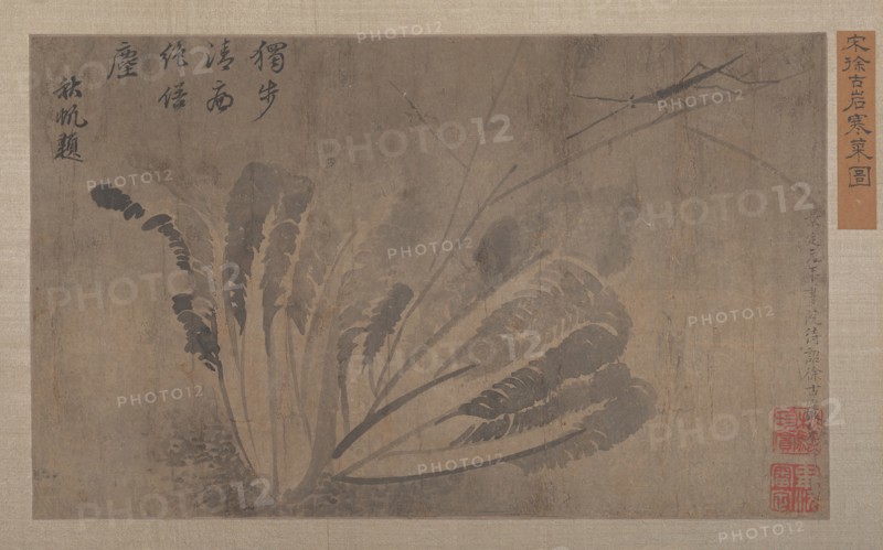 Cabbage and Insects. Creator: Xu Daoguang.
