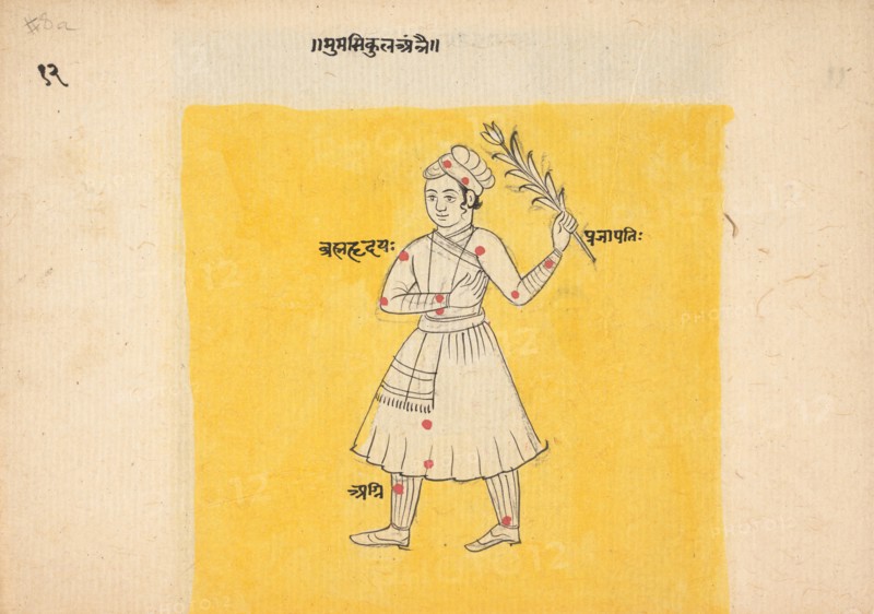 Double Sided Painting; Male with Flower/ Soldier, mid-late 19th century. Creator: Unknown.