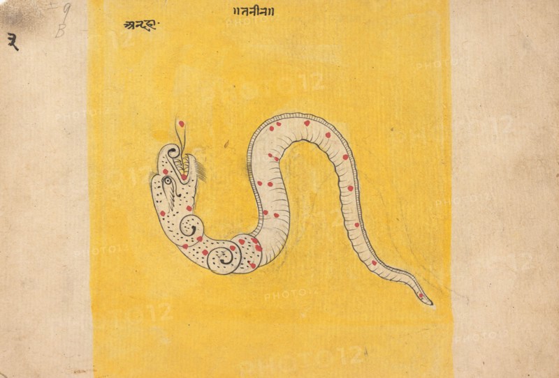 Page from a Dispersed Book of Dreams, mid-late 19th century. Creator: Unknown.