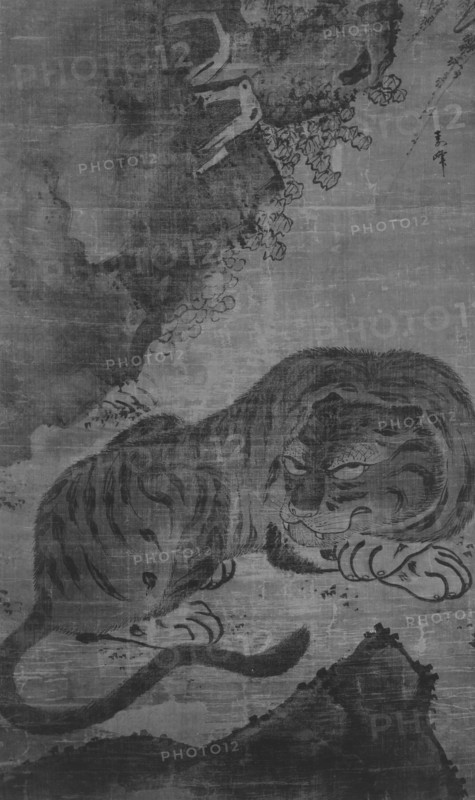 Tiger. Creator: Unknown.