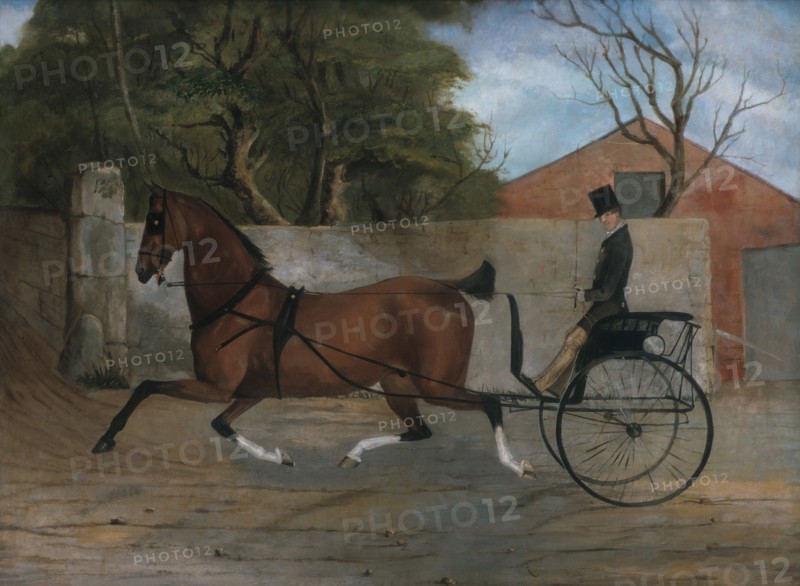 Portrait of a Gentleman in a Carriage, ca. 1850-60. Creator: Unknown.