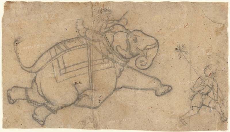 Running Elephant (recto); Practice Sheet of Elephant Sketches (verso), mid-18th century. Creator: Unknown.