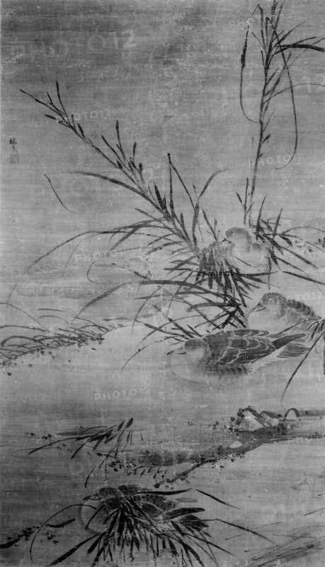 Ducks and Reeds. Creator: After Lin Liang (Chinese, ca. 1416-1480).