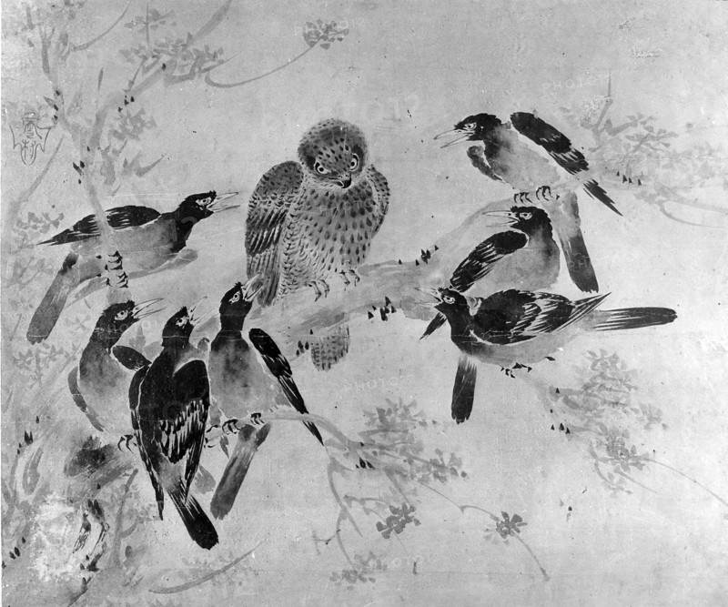 Mynah Birds Attacking an Owl, probably 19th century. Creator: After Sesson Sh?kei (ca. 1504-ca. 1589).