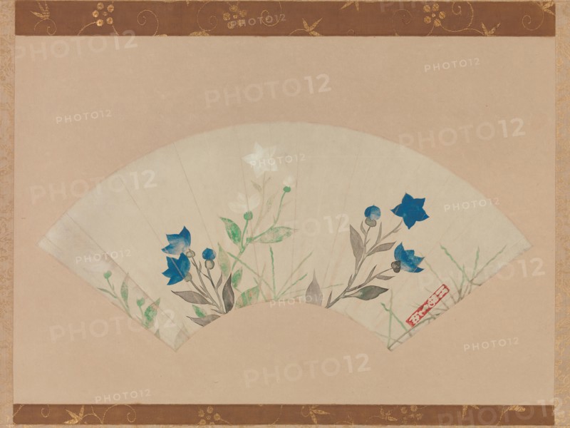 Chinese Bellflowers. Creator: Unknown.