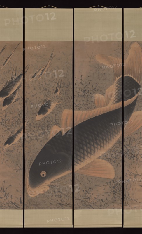 Carp, undated. Creator: Gong Gu.
