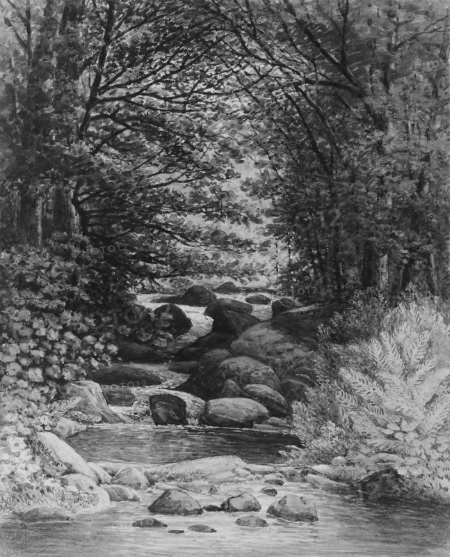 A Forest Cascade at Hiram, Maine, 1859. Creator: Henry Hitchings.