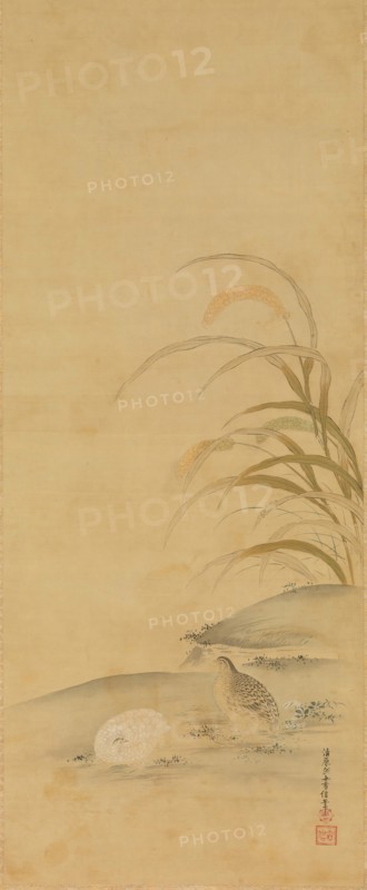 Quail and Millet, late 17th century. Creator: Kiyohara Yukinobu.