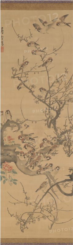 Sparrows in a Plum Tree, early 1790s. Creator: Nagasawa Rosetsu.