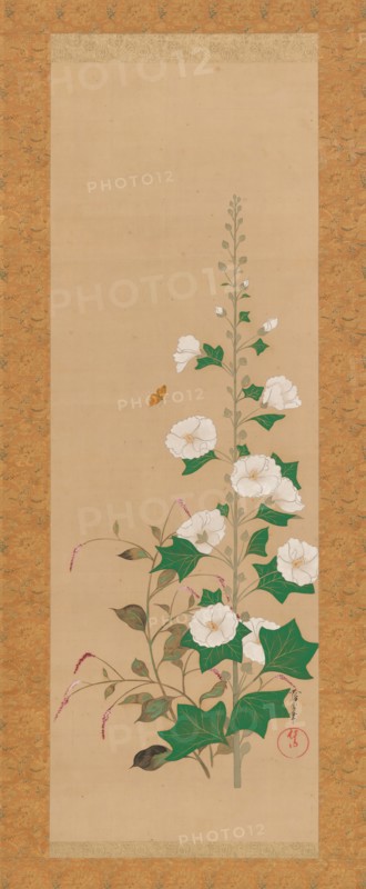 Hollyhocks and Prince?s-Feather Flowers, early 19th century. Creator: Sakai Oho.