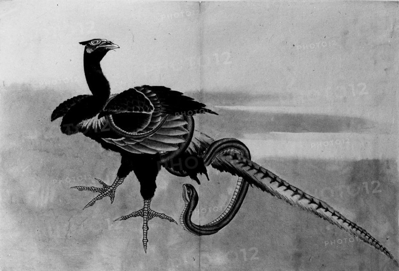 Pheasant and Snake, 18th-19th century. Creator: School of Katsushika Hokusai.